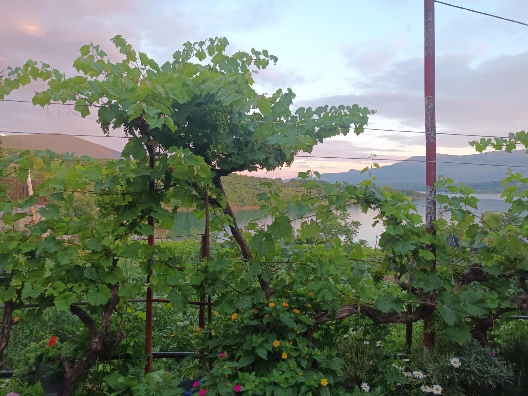 Brnara Kravarica Appartamento Vrlika